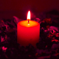 Candle for notice Freda PIDD