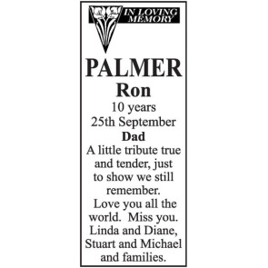 Photo of RON PALMER