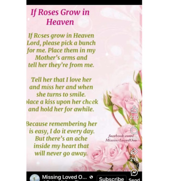 Notice Gallery for CHRISTINE LAING