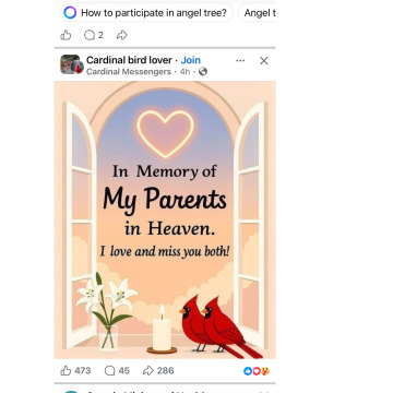 Photo for notice Christine LAING