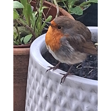 Photo for notice June GUEST