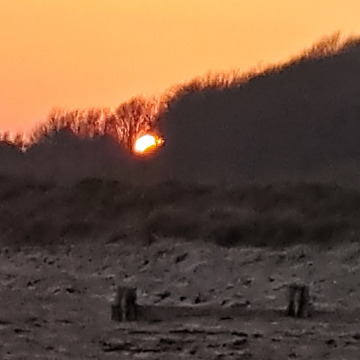 Notice Gallery for GEORGE HALTON