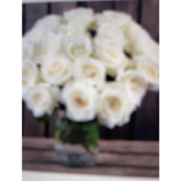 Notice Gallery for CATHERINE CELIA TAYLOR