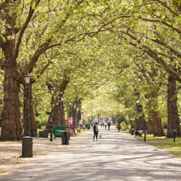 Photo for notice Deborah LAFFEY