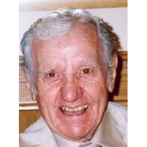 Photo of DAVID REES WINSTONE