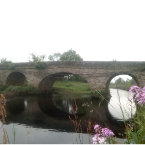 Notice Gallery for IAN FALCONER