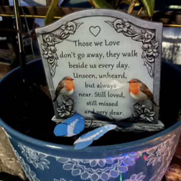 Notice Gallery for BRIAN McALLEY