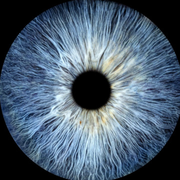 Photo for notice Jean TYRER