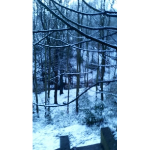 Notice Gallery for SHERYL MANDY CALCUTT