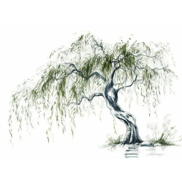 Notice Gallery for Gregory Edward MURPHY