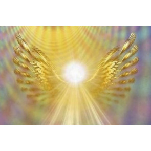 Photo of Peter MADDEN