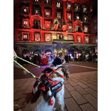 Photo for notice Peter FLANAGAN