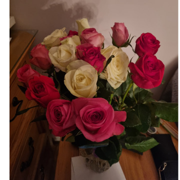 Notice Gallery for AUDREY MCALPINE