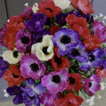 Tribute photo for KATHLEEN LAUDER