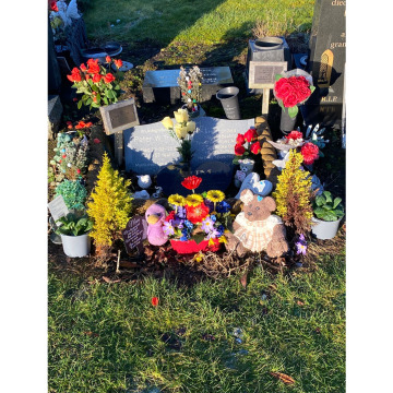 Photo for notice Peter TRIPNEY