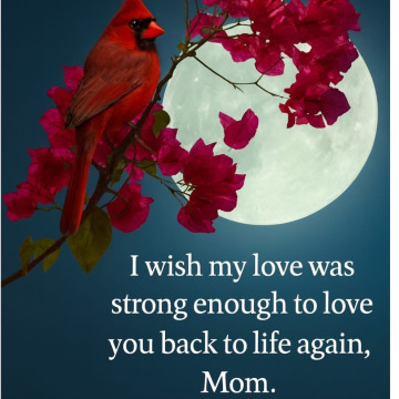 Photo for notice Ellen BURKE