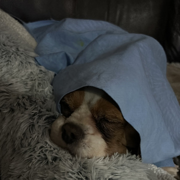 Photo for notice Joan CARSON