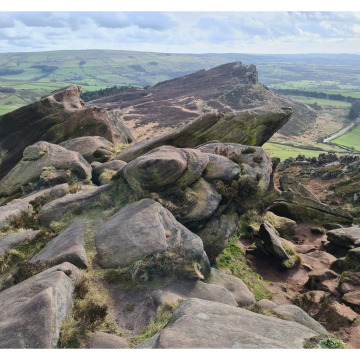 Photo of BRIAN HODGSON