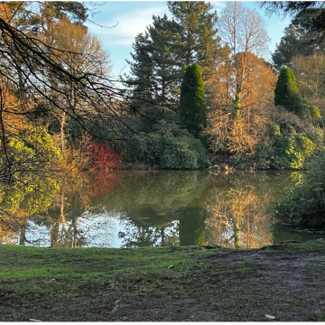 Notice Gallery for HILL SHARON