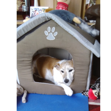 Photo for notice Margaret HARRISON