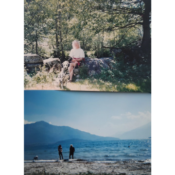 Photo for notice Harry GUREVITCH