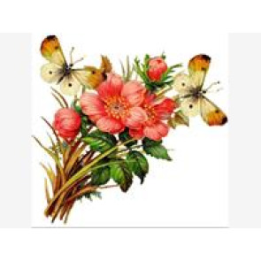 Notice Gallery for Chris HOOD