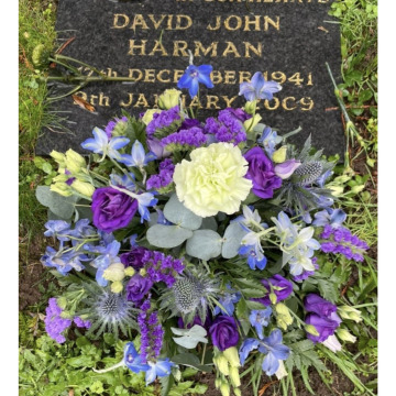 Photo for notice Dave DEE