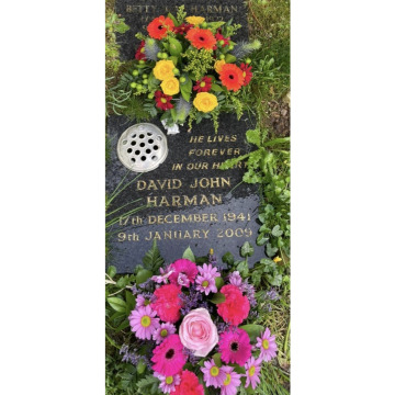 Notice Gallery for Dave DEE