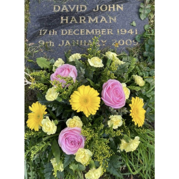 Photo for notice Dave DEE