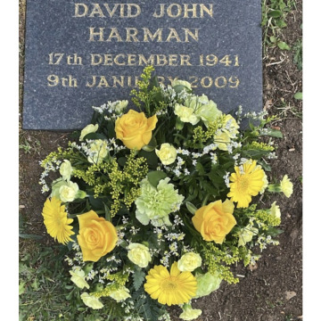 Photo for notice Dave DEE
