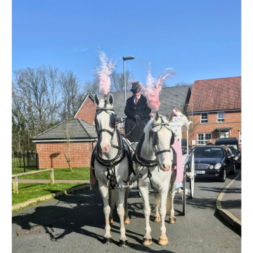 Photo for notice Audrey LOXTON