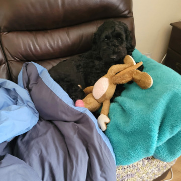 Notice Gallery for Raymond CLAYTON