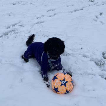 Notice Gallery for Raymond CLAYTON