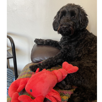 Notice Gallery for Raymond CLAYTON