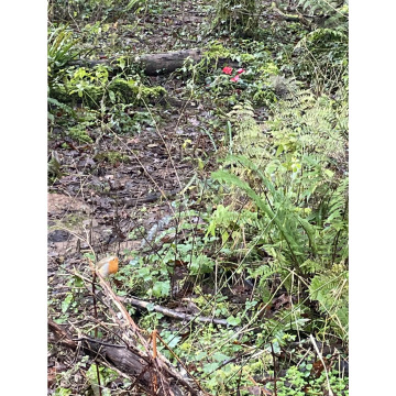 Photo for notice Wendy Elizabeth JOHN