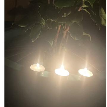 Photo for notice Wendy Elizabeth JOHN