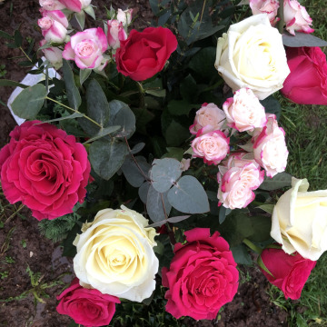 Photo for notice Norma COLEMAN