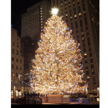 Notice Gallery for June LAMBERT