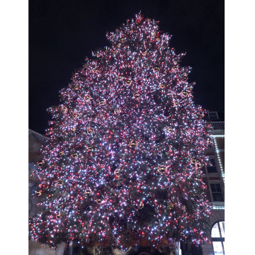 Photo for notice Mark O DELL