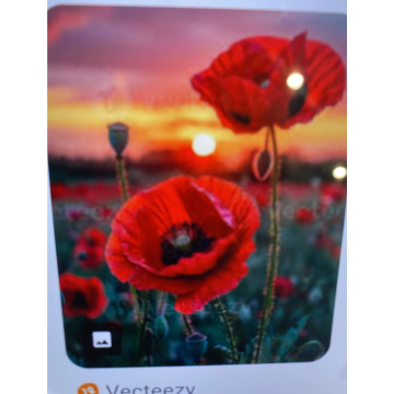 Photo for notice Andy Peter Dec DEXTER