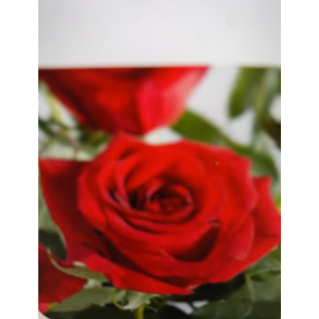 Photo for notice Andy Peter Dec DEXTER