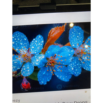 Photo for notice Andy Peter Dec DEXTER