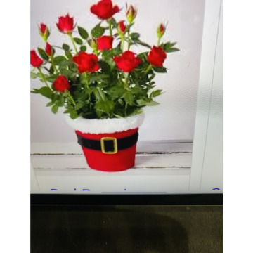 Photo for notice Andy Peter Dec DEXTER