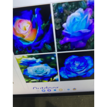 Photo for notice Andy Peter Dec DEXTER