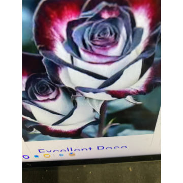 Photo for notice Andy Peter Dec DEXTER