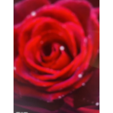 Photo for notice Andy Peter Dec DEXTER