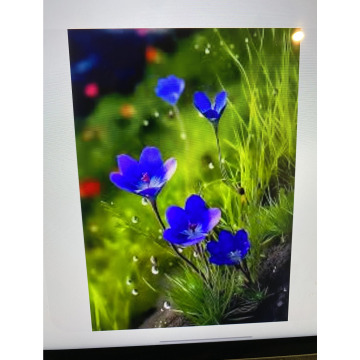 Photo for notice Andy Peter Dec DEXTER