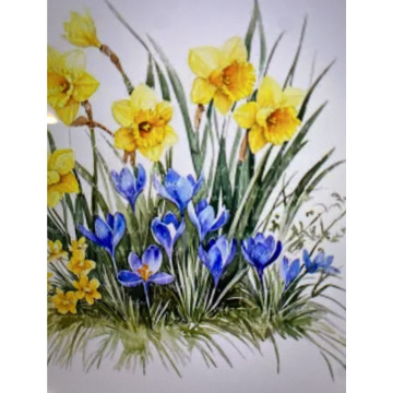 Photo for notice Andy Peter Dec DEXTER