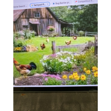 Photo for notice Andy Peter Dec DEXTER