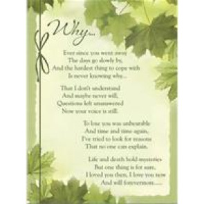 Notice Gallery for Cornelis Co VROEGINDEWEIJ